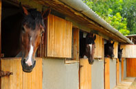 free Carpenders Park stable construction quotes